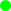 Lieferung innerhalb 24 Stunden Lieferung innerhalb 24 Stunden